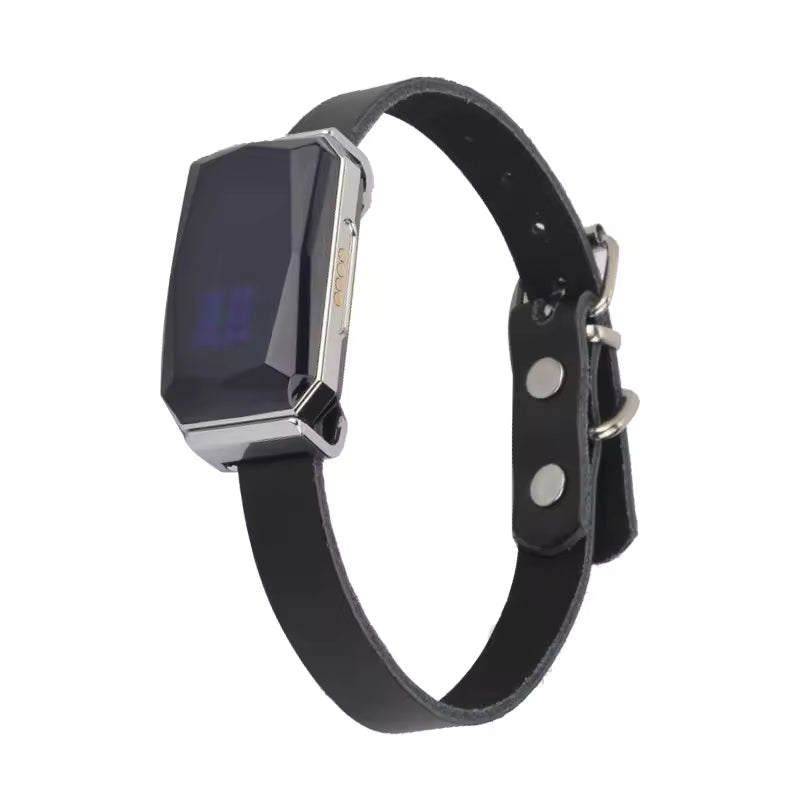 Collier GPS intelligent chien & chat – Suivi temps réel 5 m, étanche IP67, autonomie 10 jours