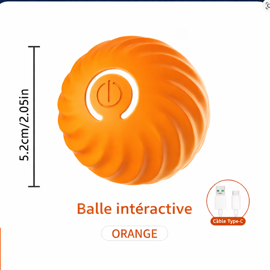 Pack Balle intéractive + Rasoir pattes + Collier GPS